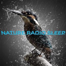 Nature Radio Sleep